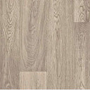 Линолеум Juteks Glory PURE OAK 11_914M  | FLOORDEALER